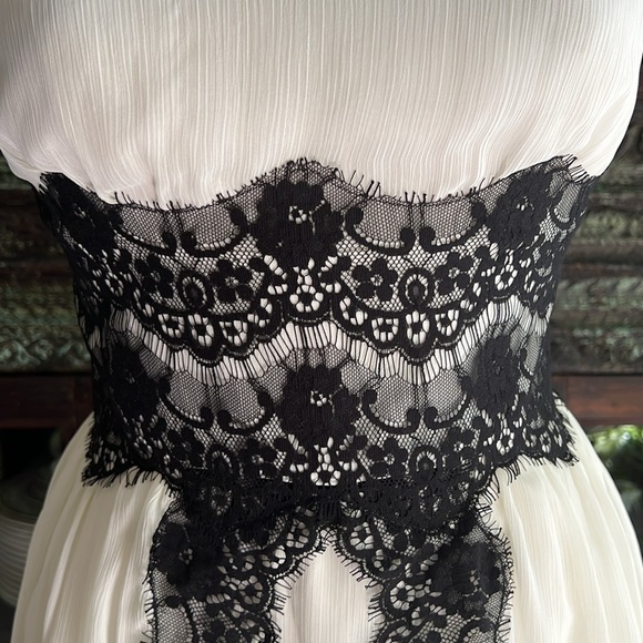 Bebe Lace Dress - Picture 3 of 13